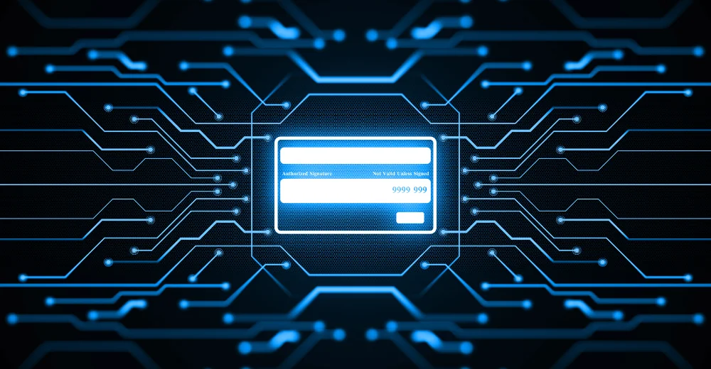 payeezy software